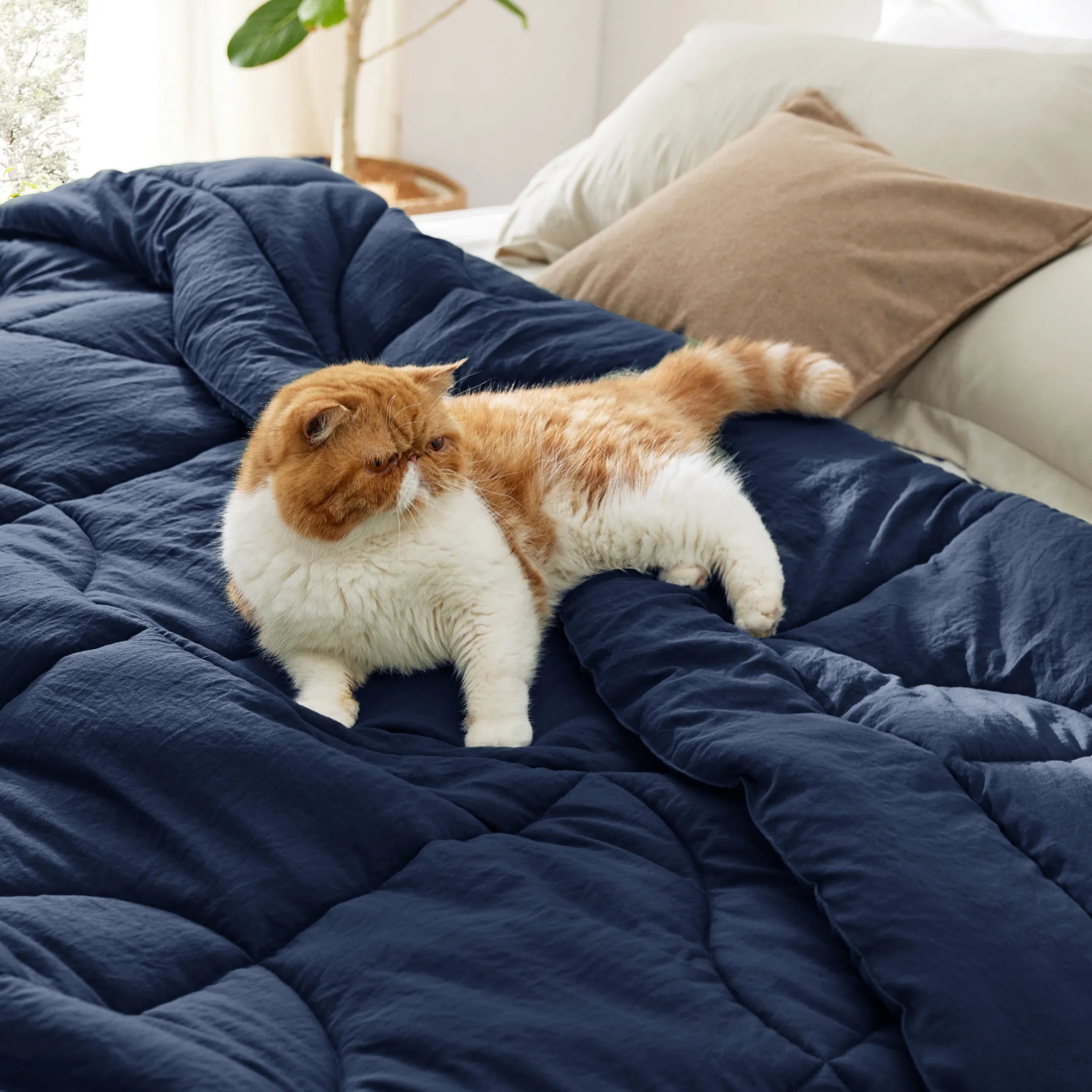 Prewashed Quilted Comforter - Image 30