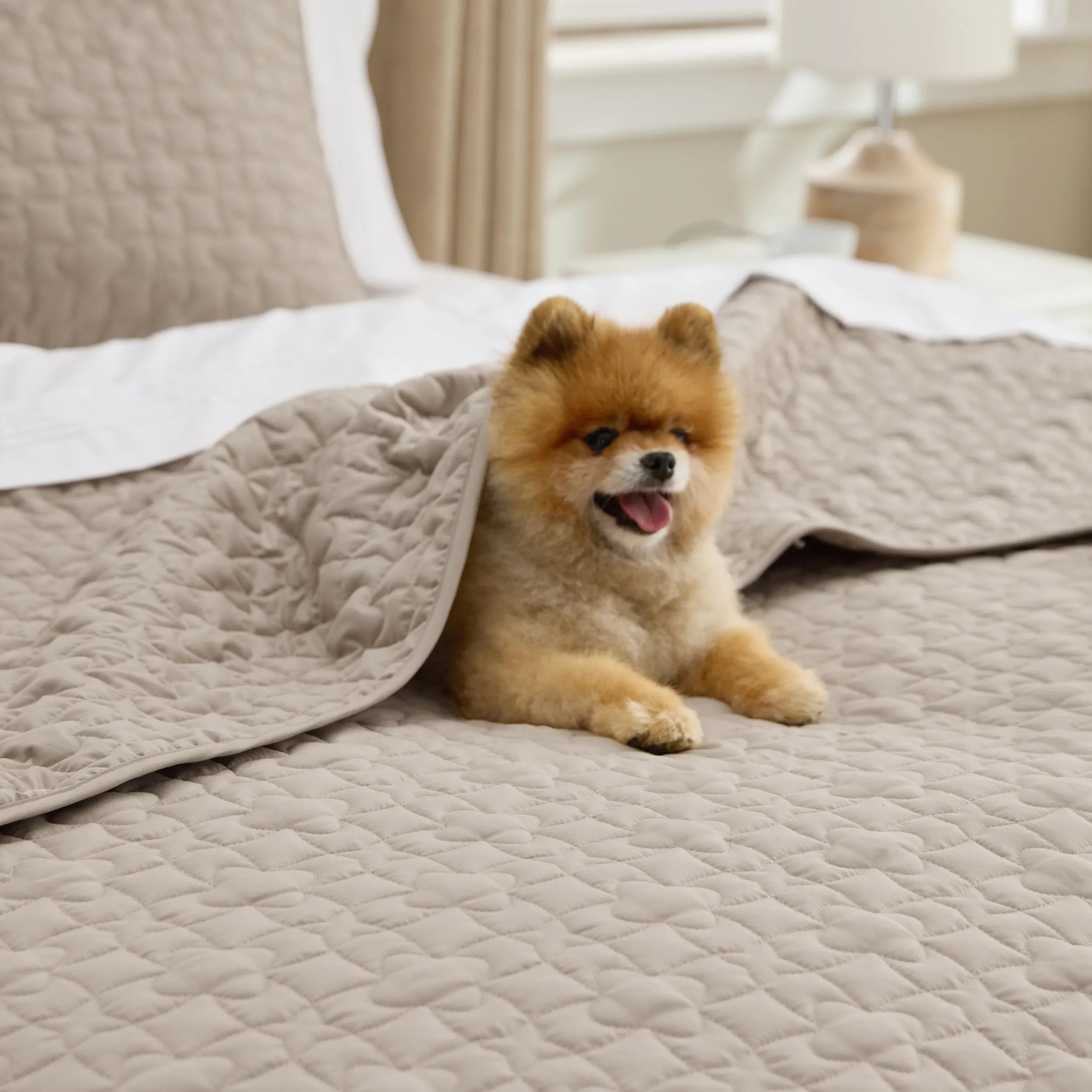 Lucky Star Quilt Set - Image 17