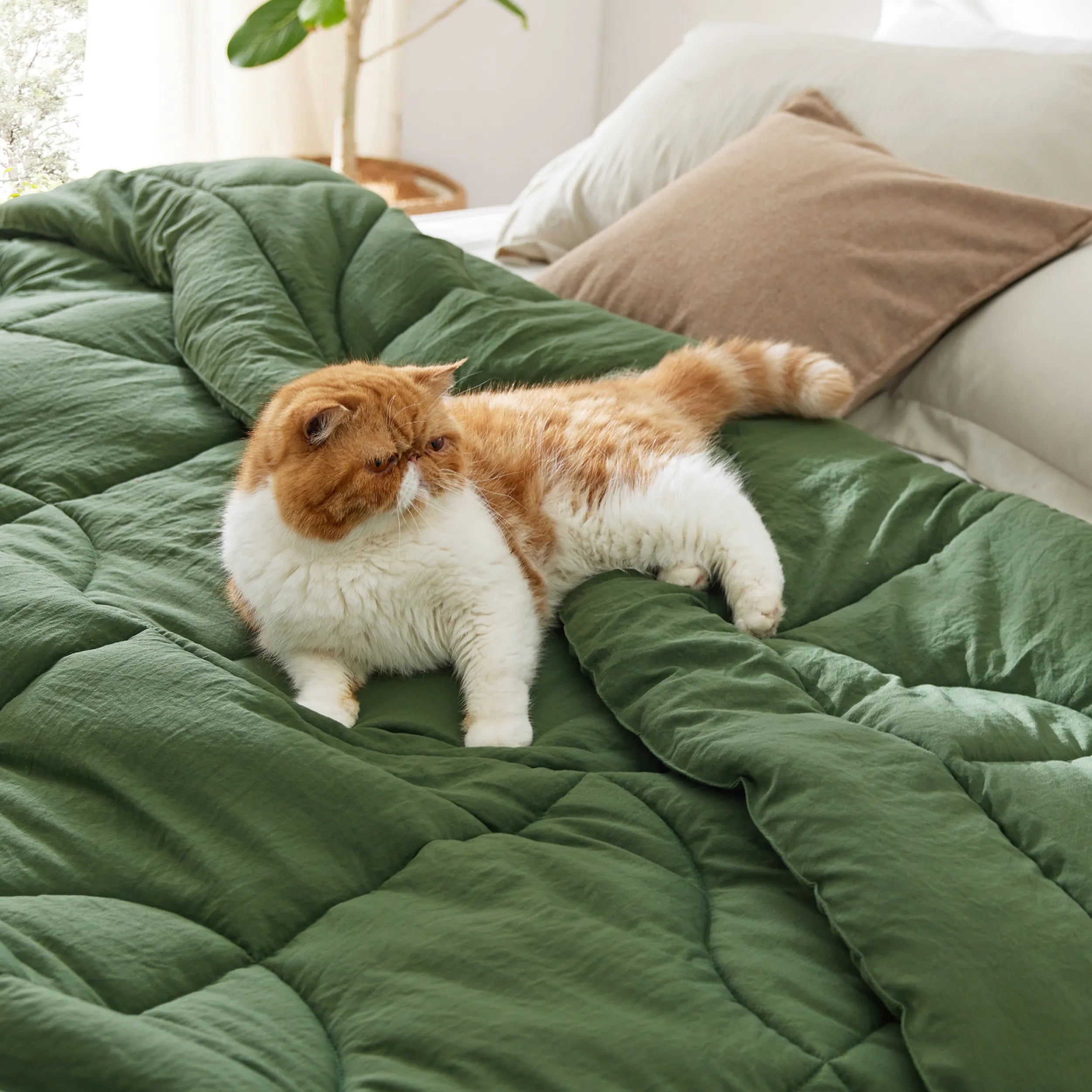 Prewashed Quilted Comforter - Image 20
