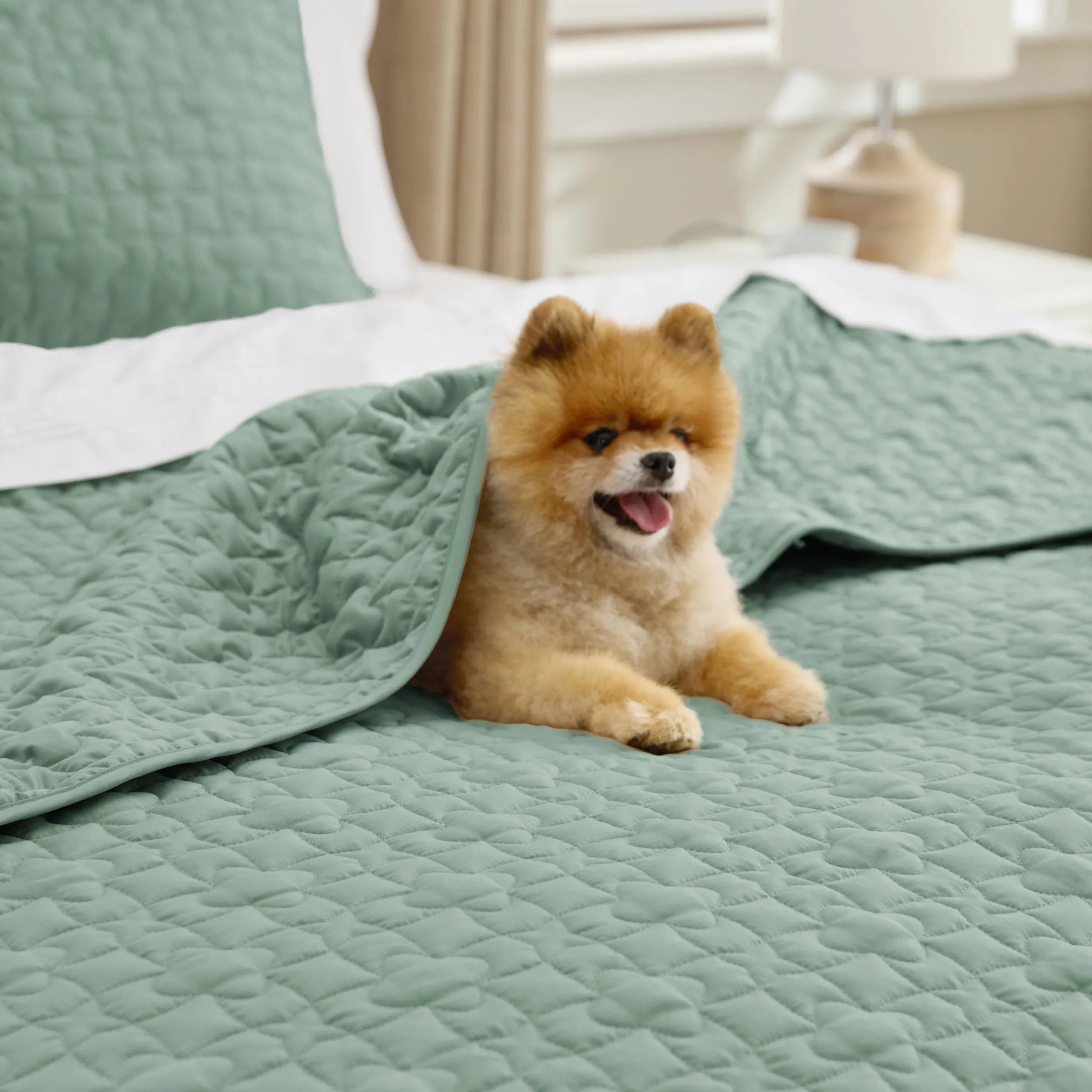 Lucky Star Quilt Set - Image 8