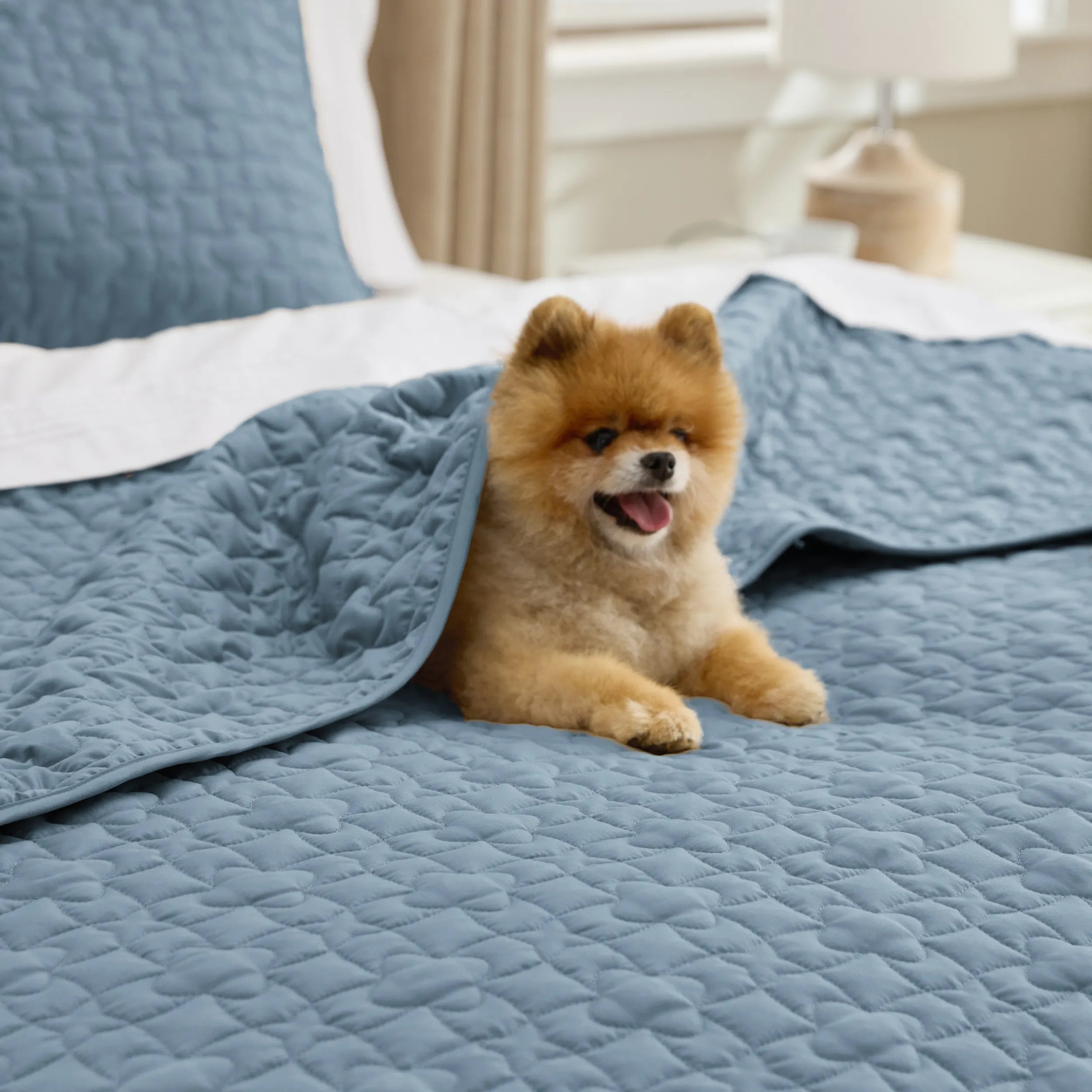 Lucky Star Quilt Set - Image 5
