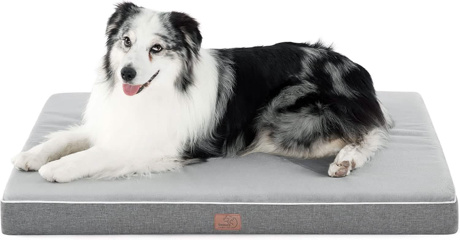 Orthopedic Memory Foam Dog Bed - Image 10