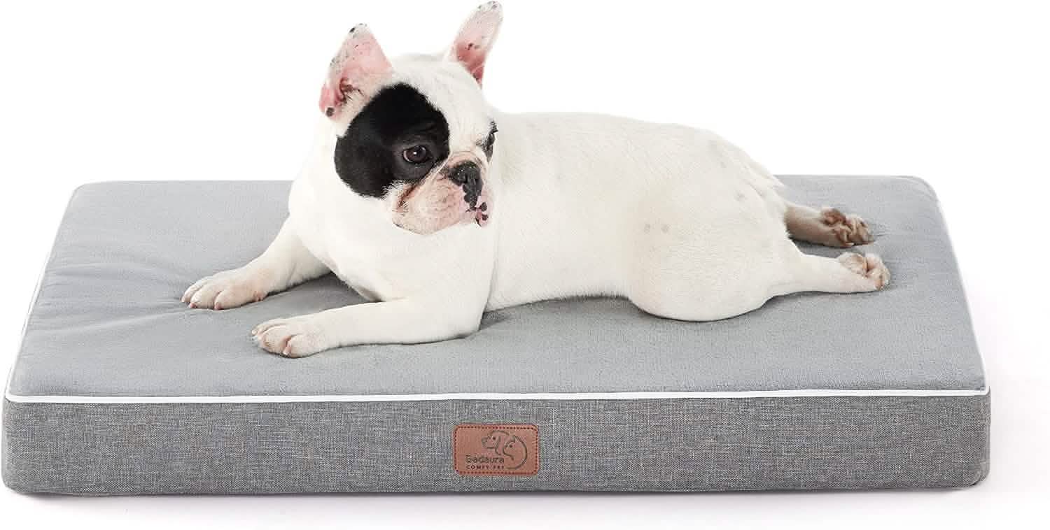 Orthopedic Memory Foam Dog Bed - Image 4