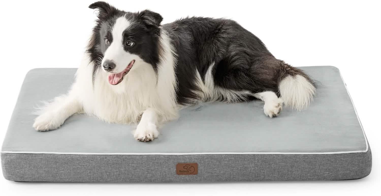 Orthopedic Memory Foam Dog Bed - Image 15