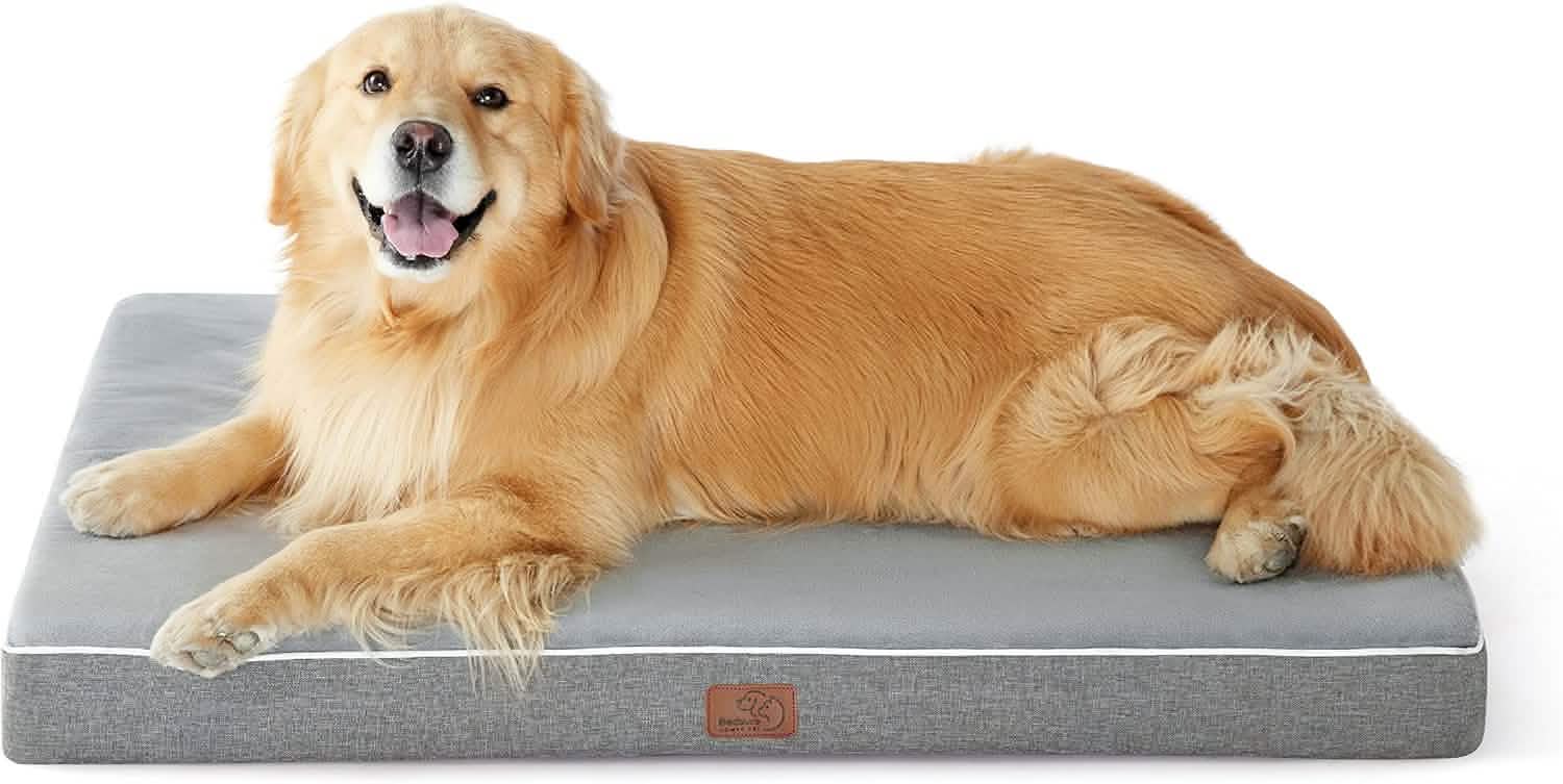Orthopedic Memory Foam Dog Bed - Image 20