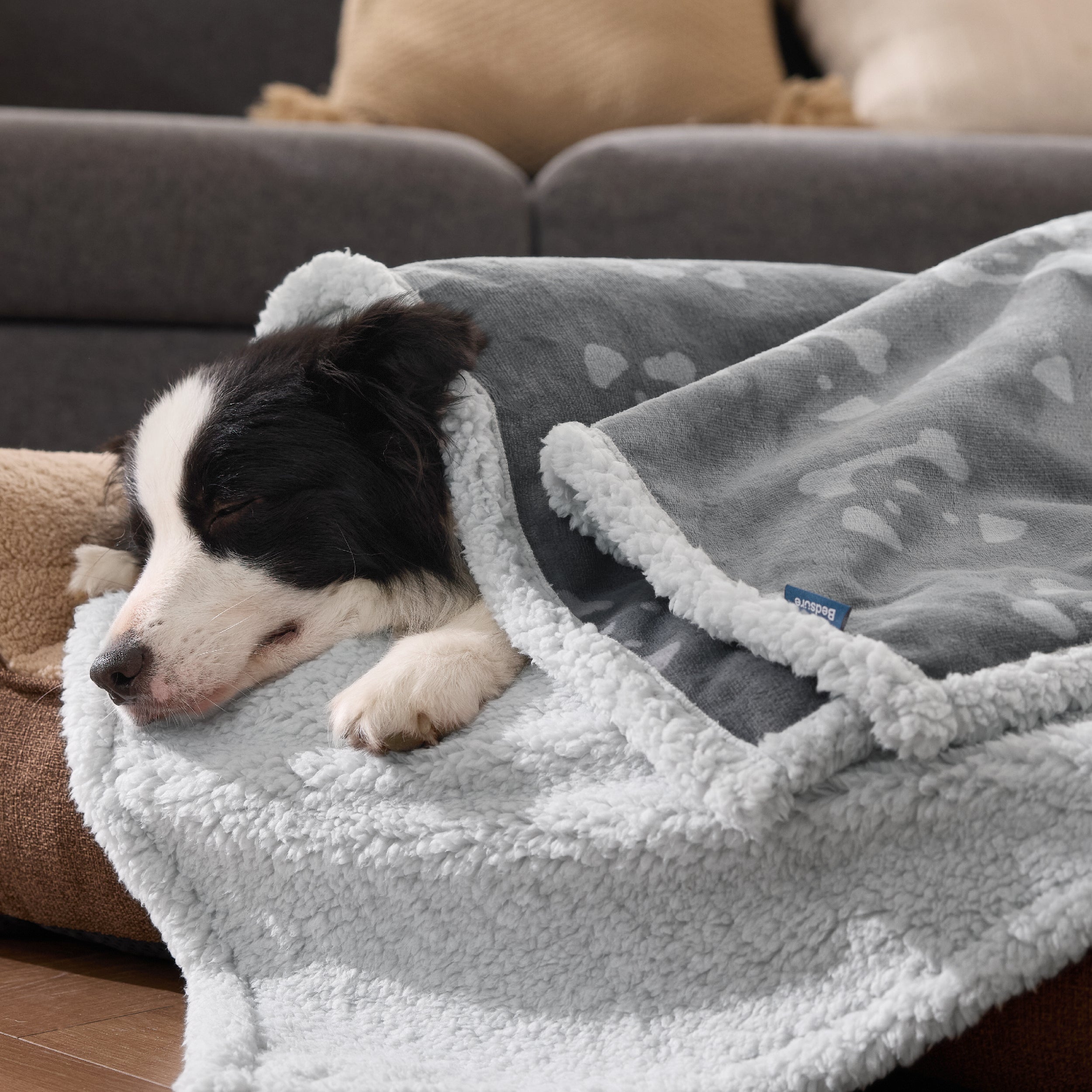 Reversible Waterproof Sherapa Blanket - Image 30
