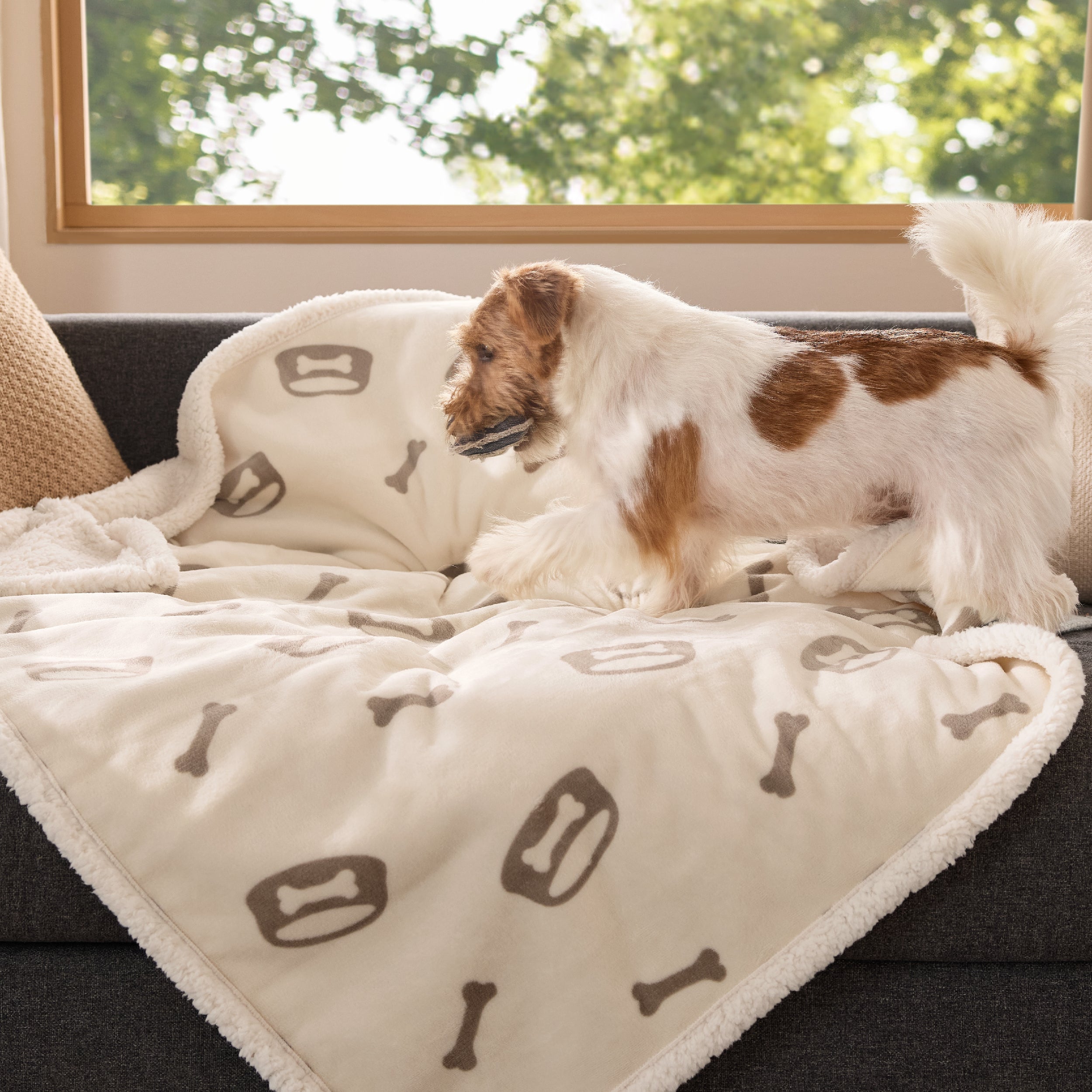 Reversible Waterproof Sherapa Blanket - Image 5