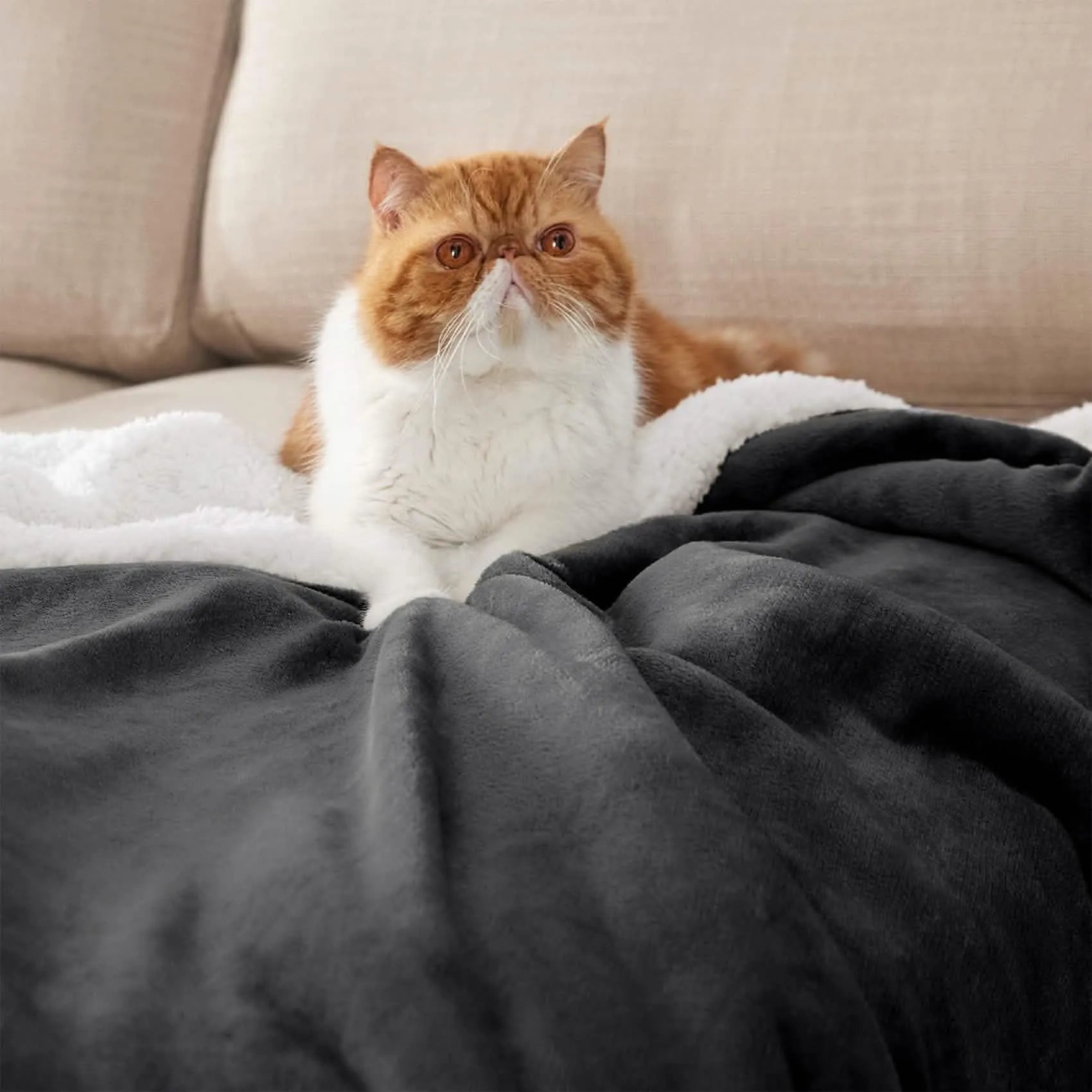 Sherpa Fleece Blanket - Image 29