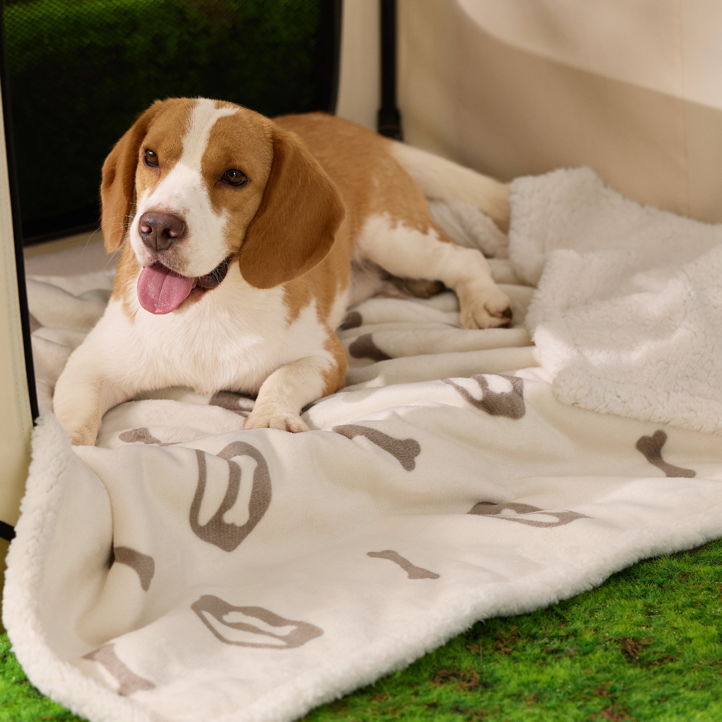 Reversible Waterproof Sherapa Blanket - Image 8