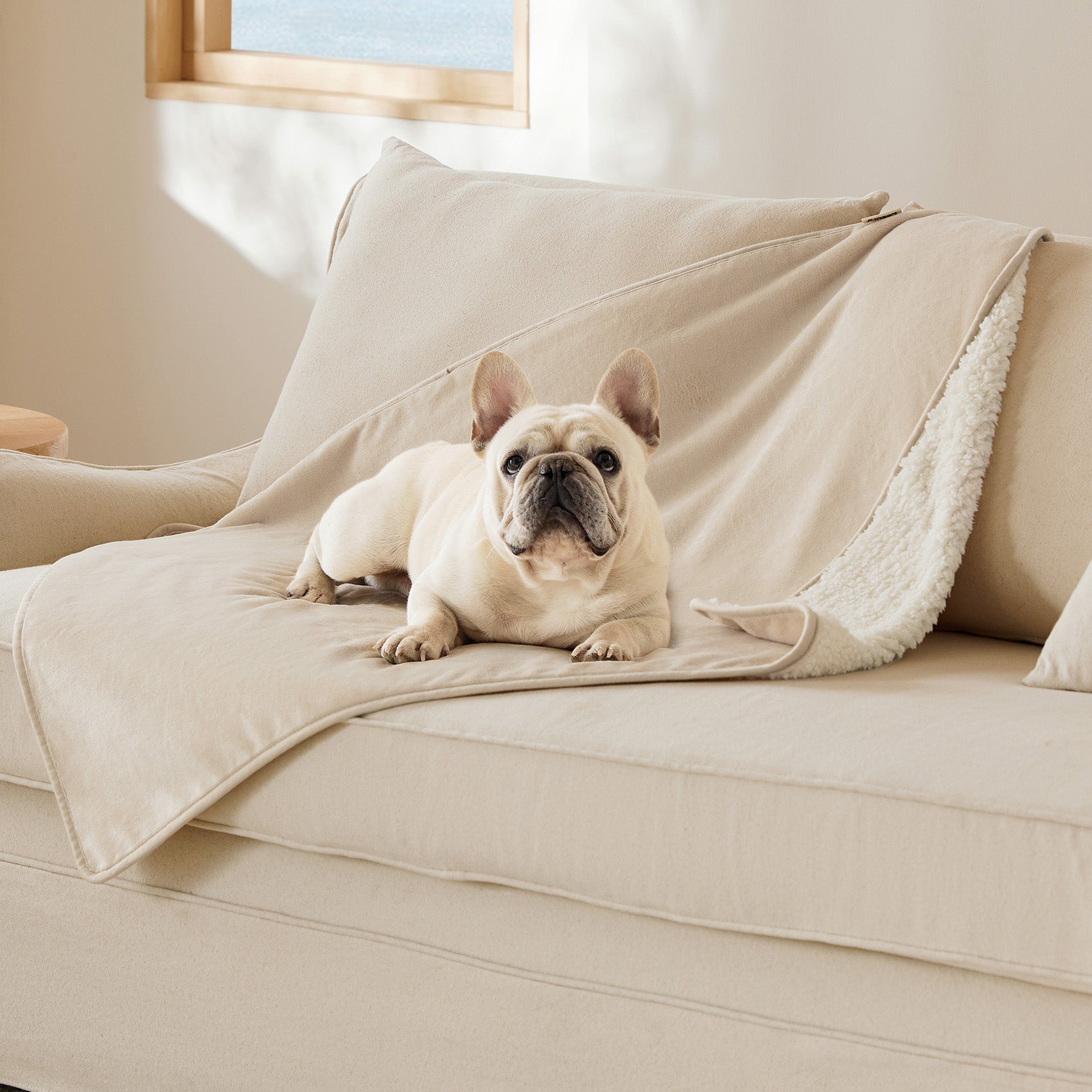 Reversible Sherpa and Microfiber Fleece Dog Blanket - Image 7