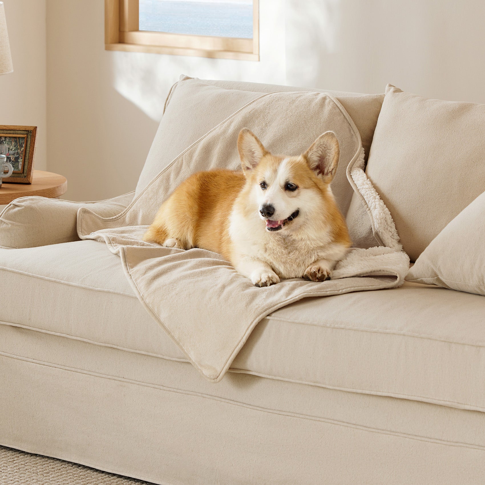 Reversible Sherpa and Microfiber Fleece Dog Blanket - Image 9