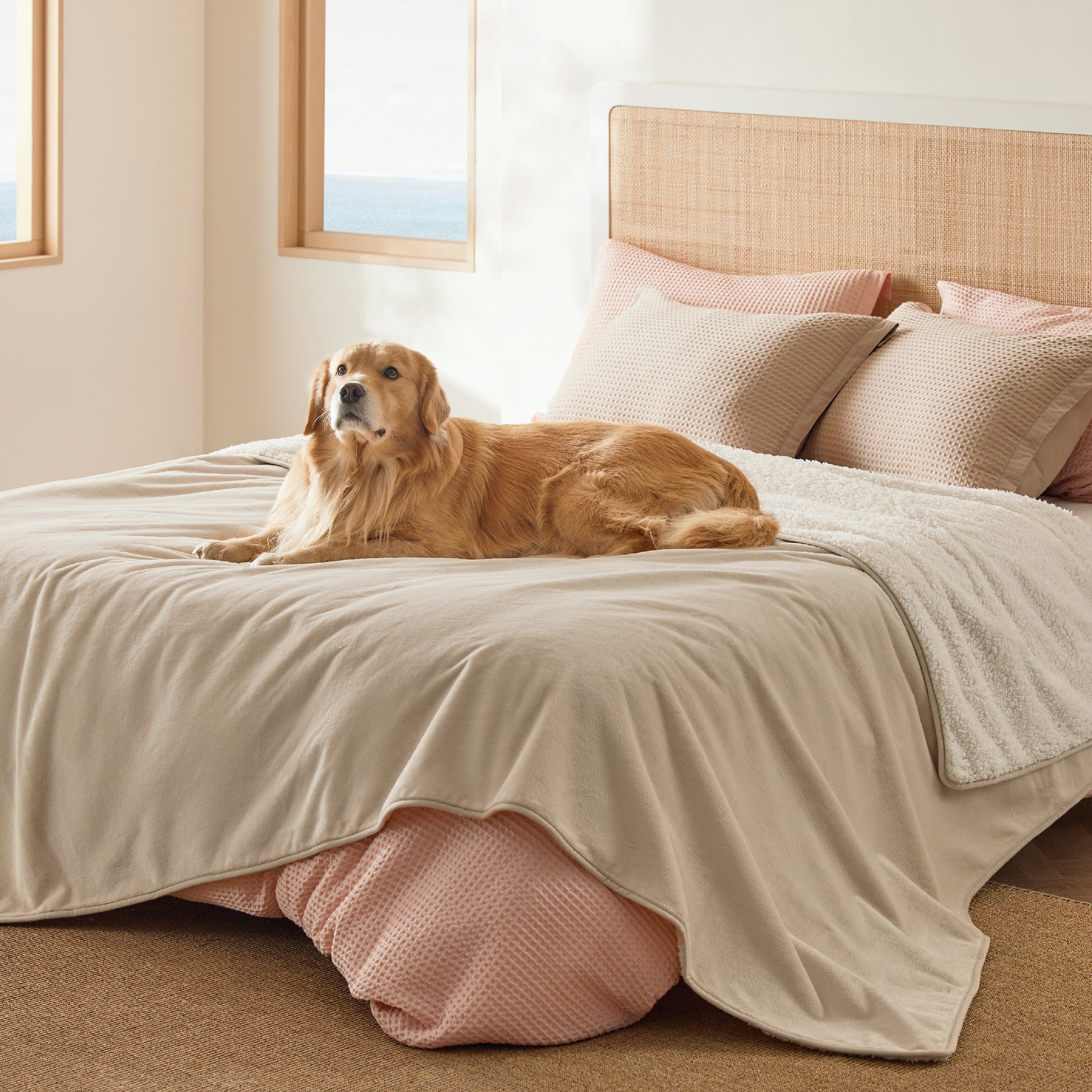 Reversible Sherpa and Microfiber Fleece Dog Blanket - Image 15
