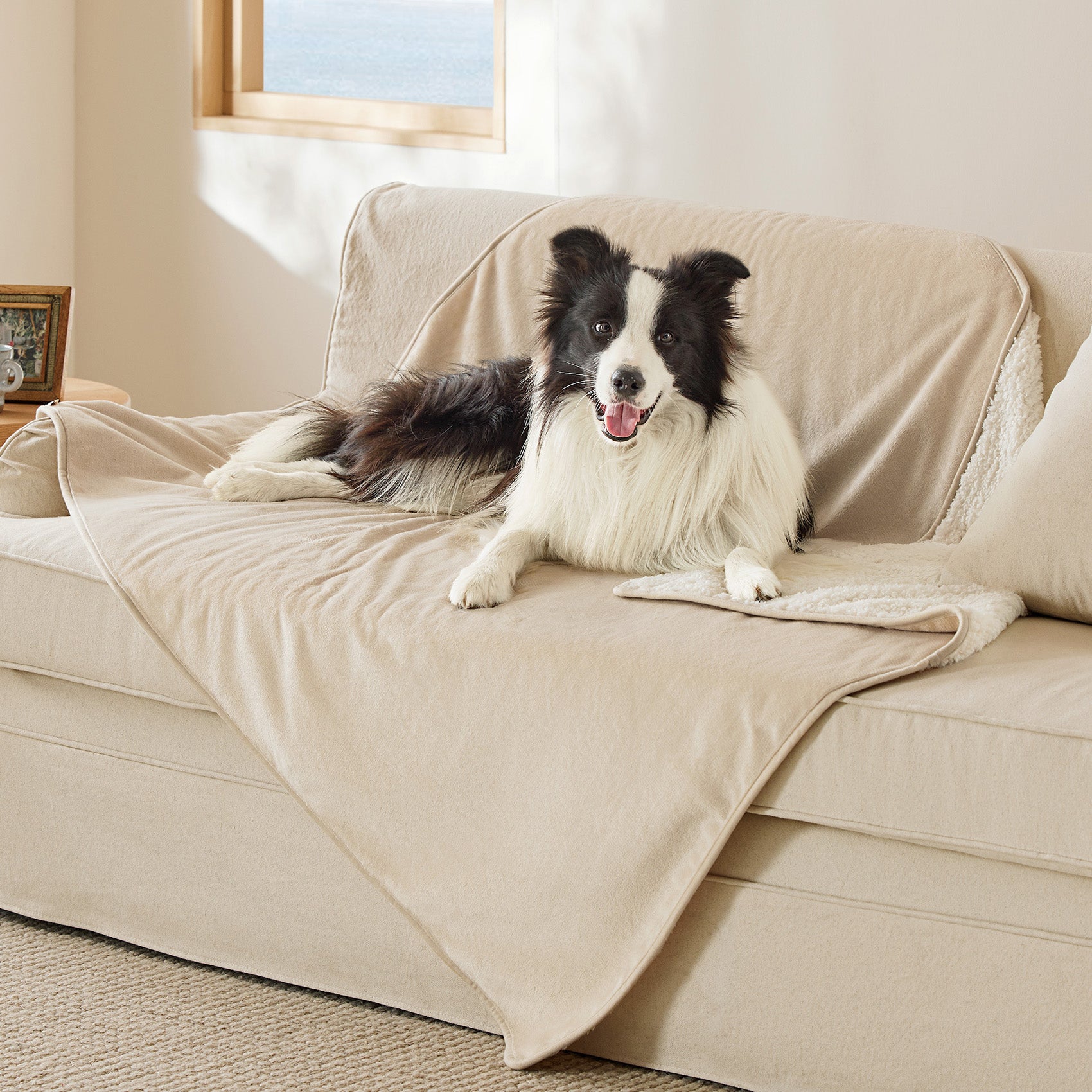 Reversible Sherpa and Microfiber Fleece Dog Blanket - Image 11