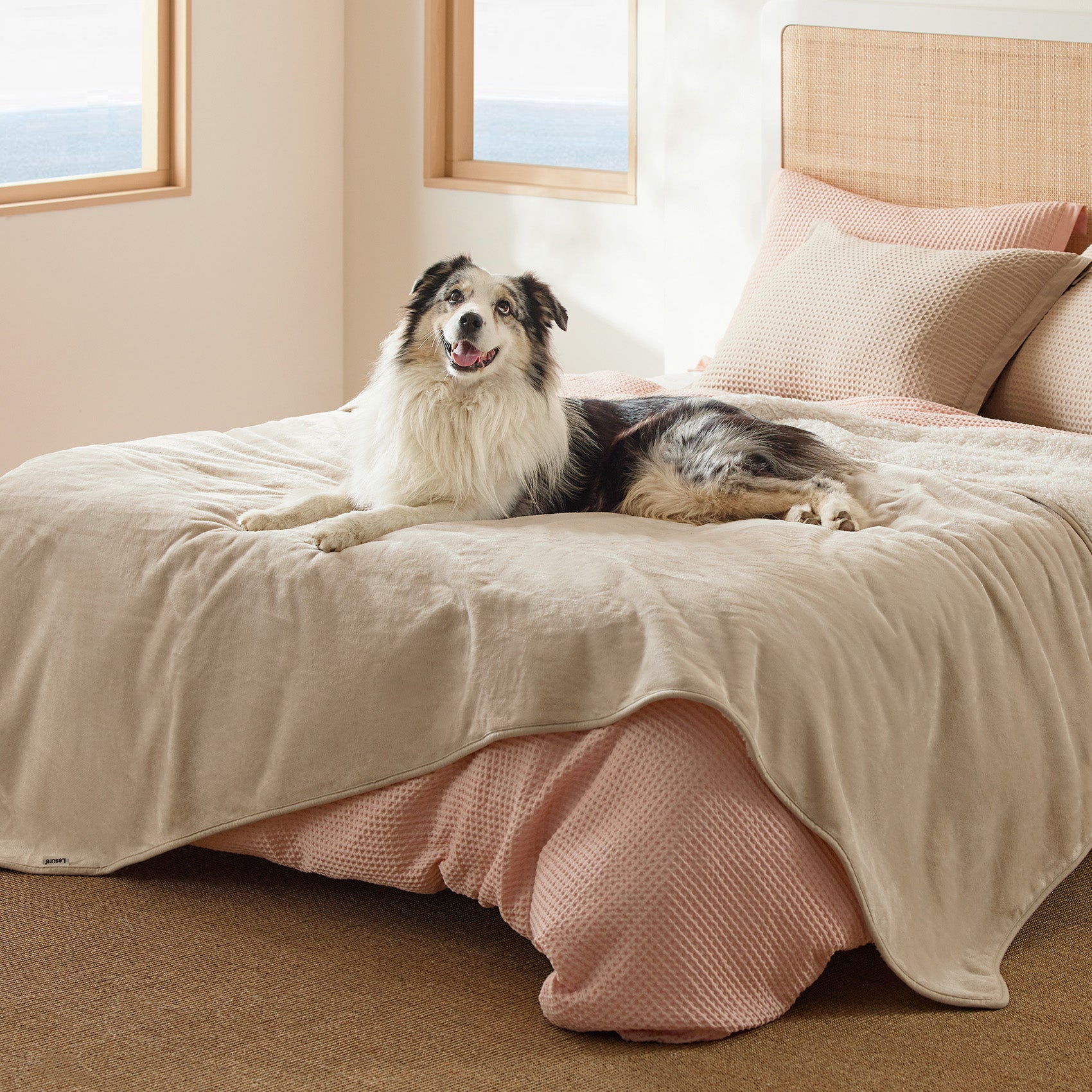 Reversible Sherpa and Microfiber Fleece Dog Blanket - Image 13