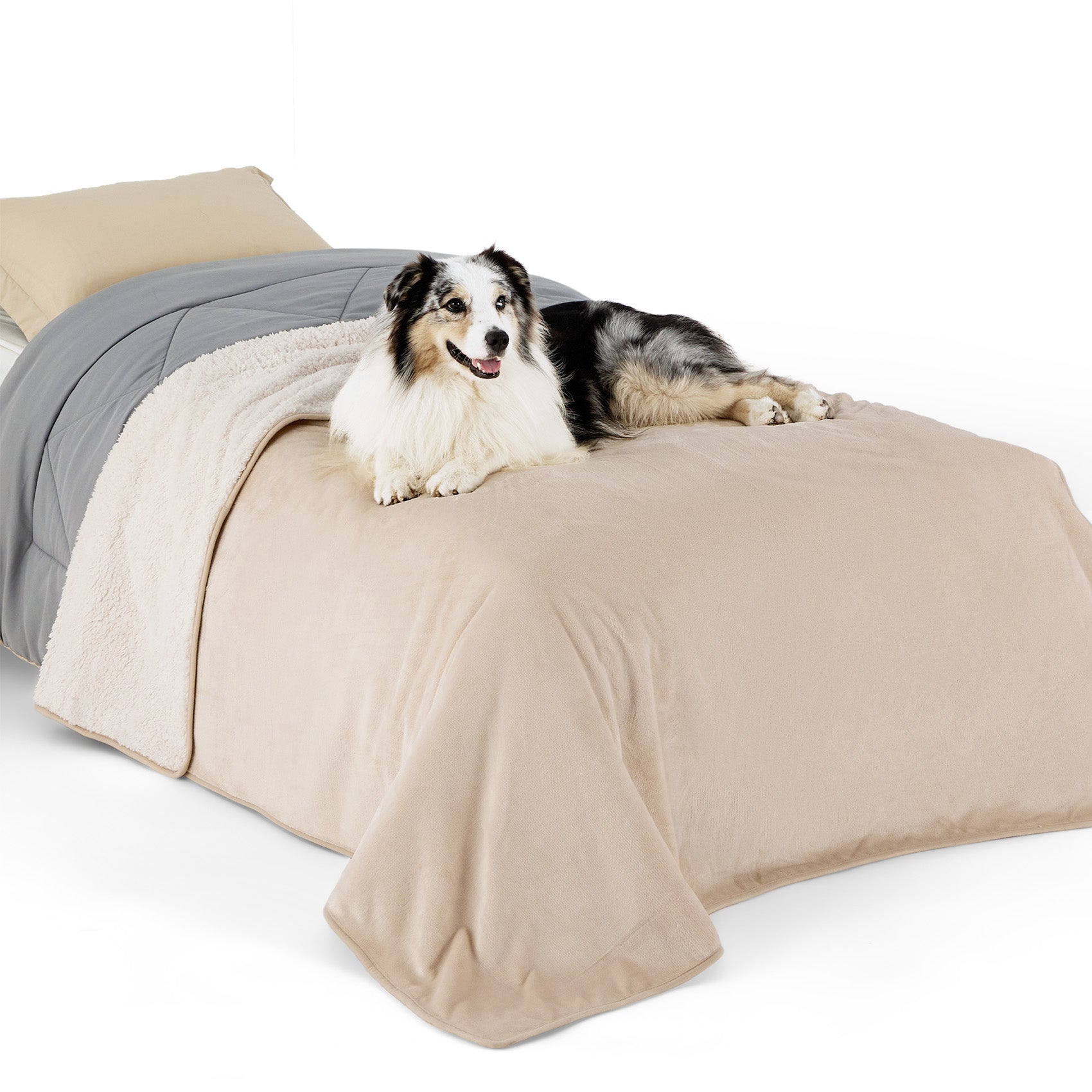 Reversible Sherpa and Microfiber Fleece Dog Blanket - Image 14