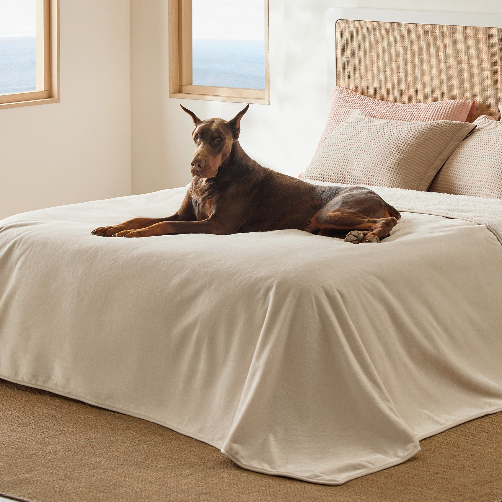 Reversible Sherpa and Microfiber Fleece Dog Blanket - Image 17