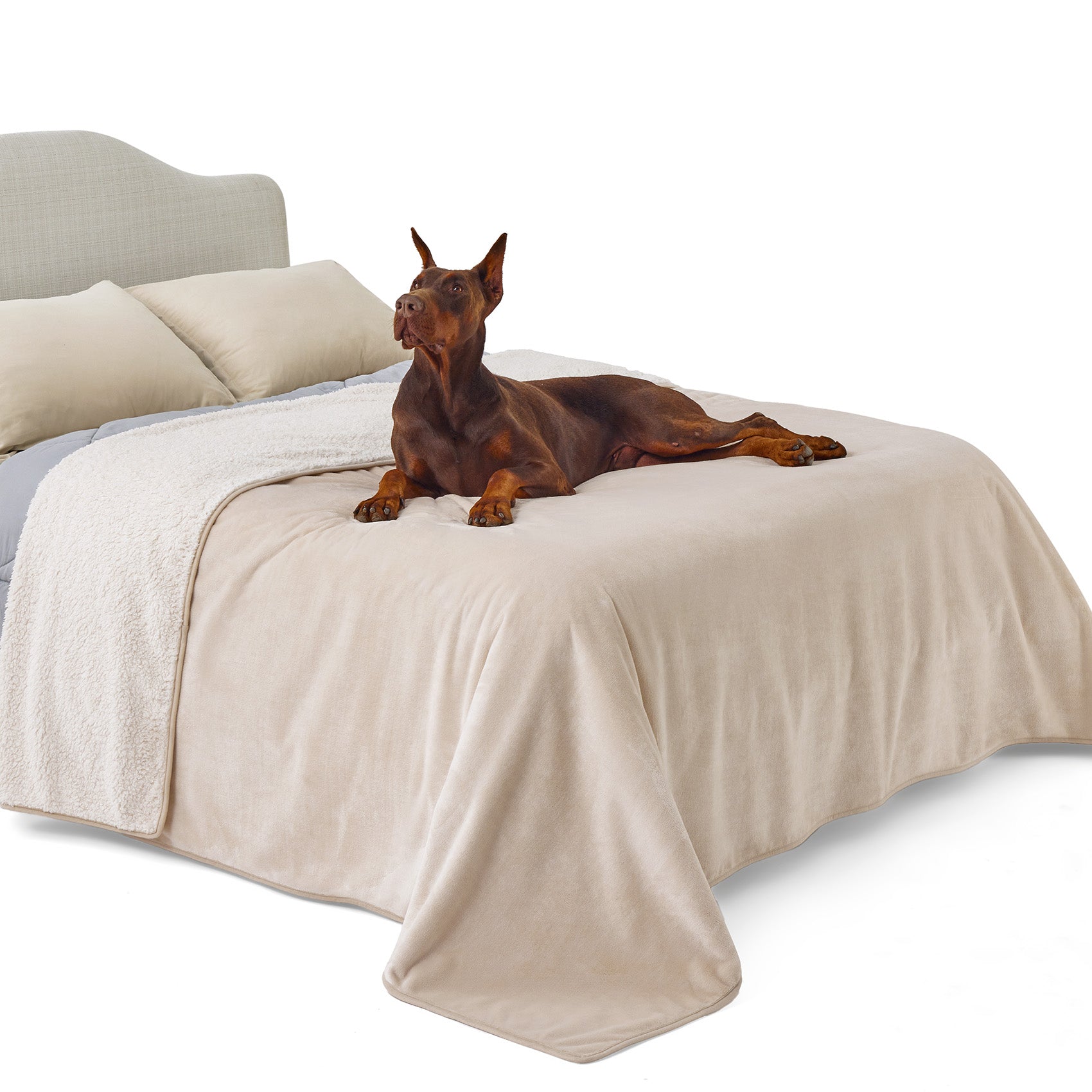 Reversible Sherpa and Microfiber Fleece Dog Blanket - Image 18