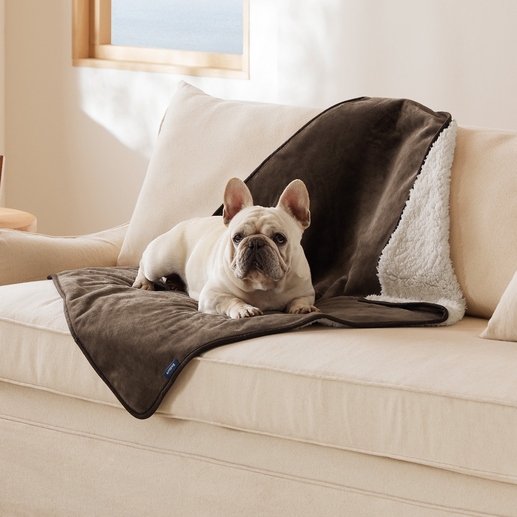 Reversible Sherpa and Microfiber Fleece Dog Blanket - Image 22