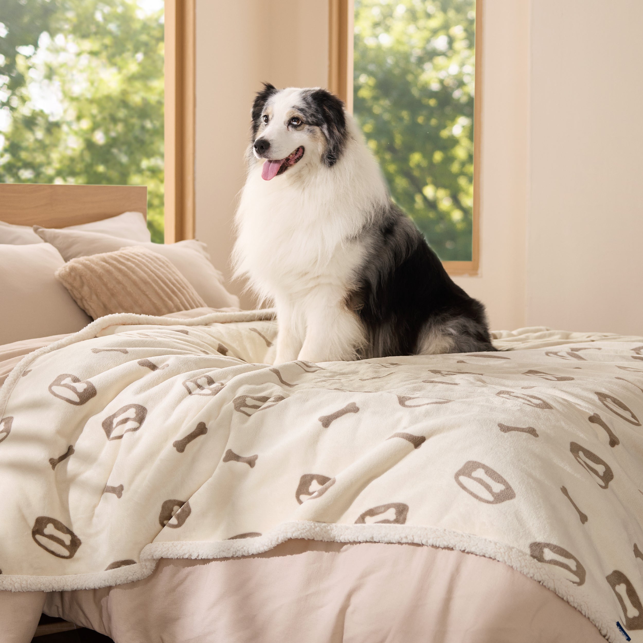 Reversible Waterproof Sherapa Blanket - Image 13