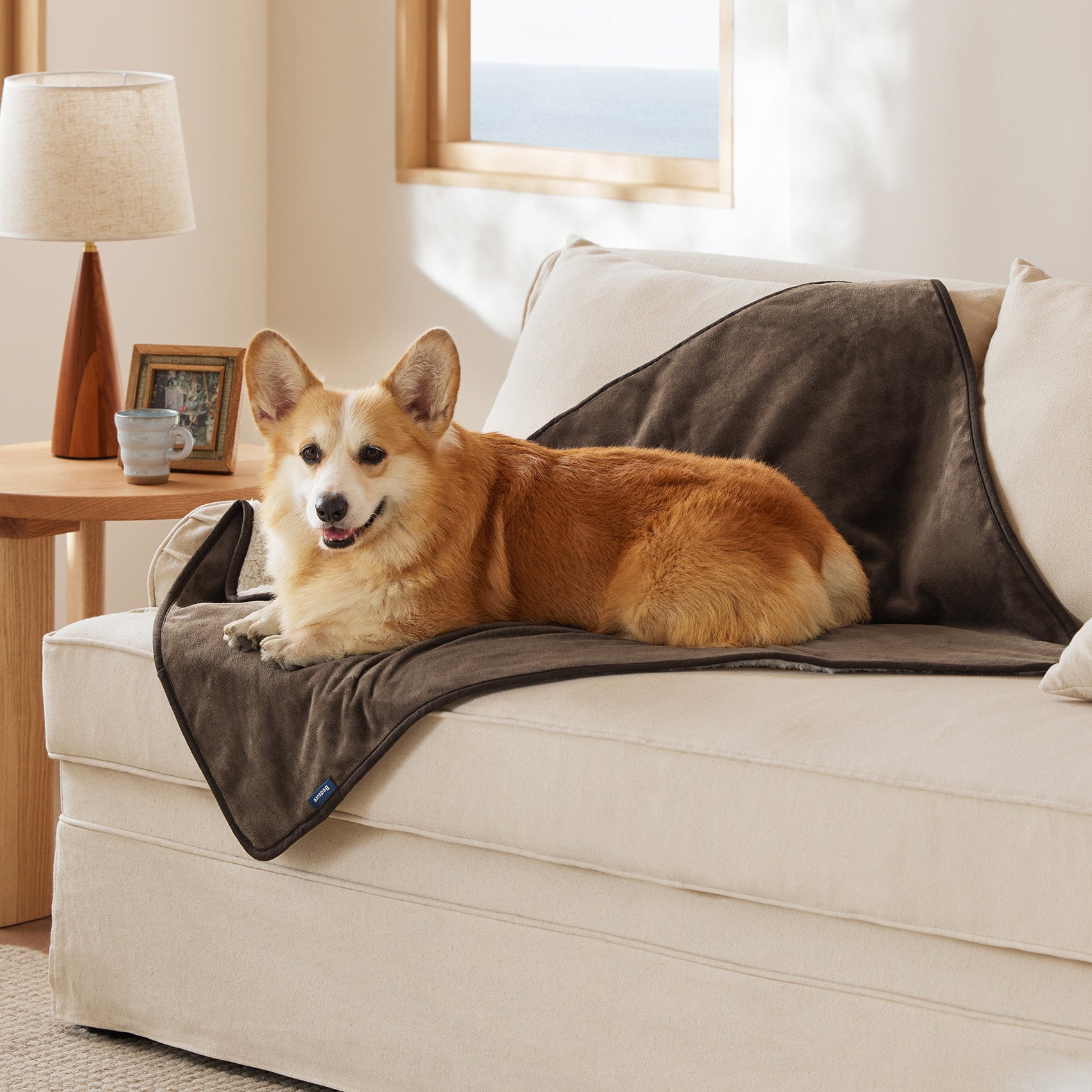 Reversible Sherpa and Microfiber Fleece Dog Blanket - Image 24
