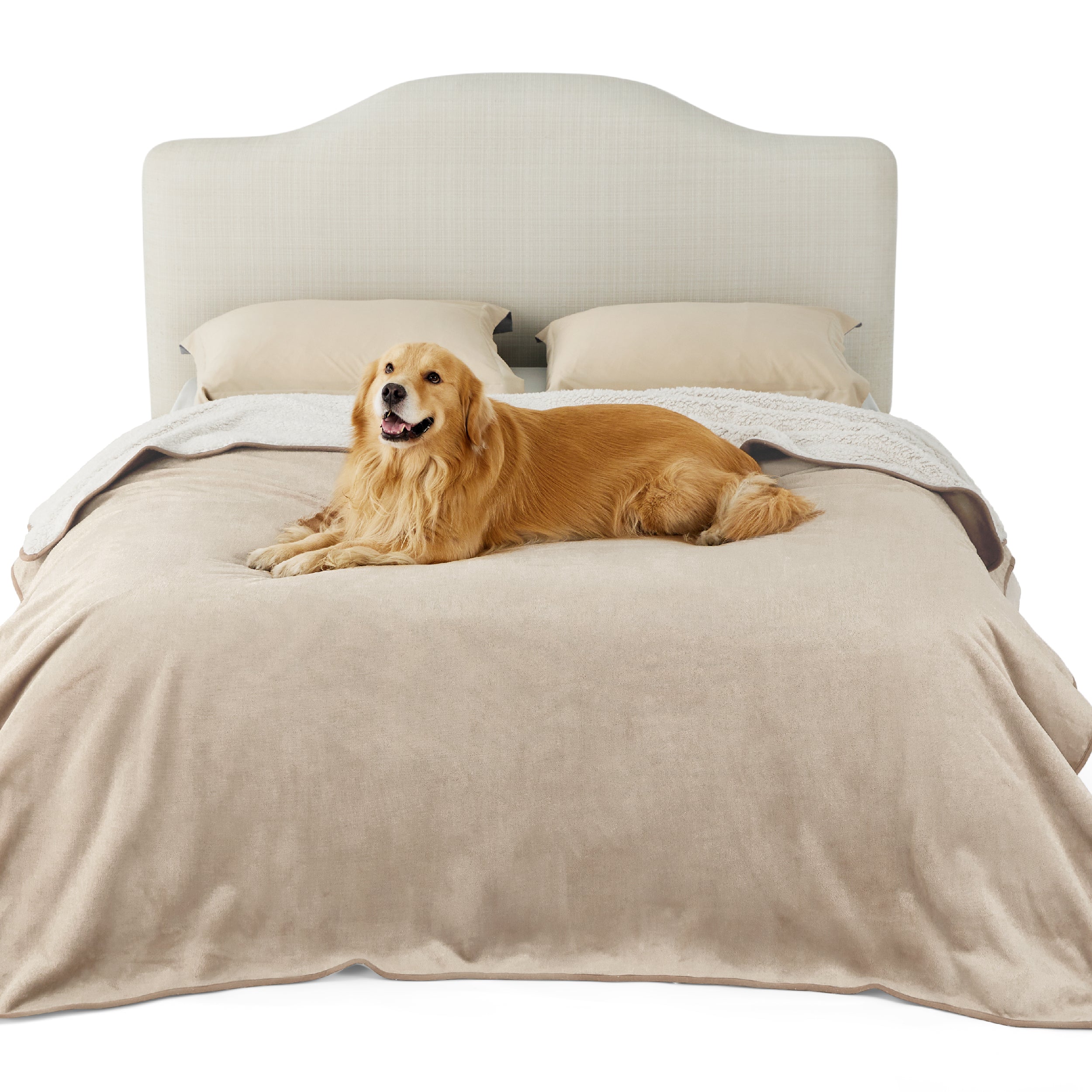 Reversible Sherpa and Microfiber Fleece Dog Blanket - Image 16