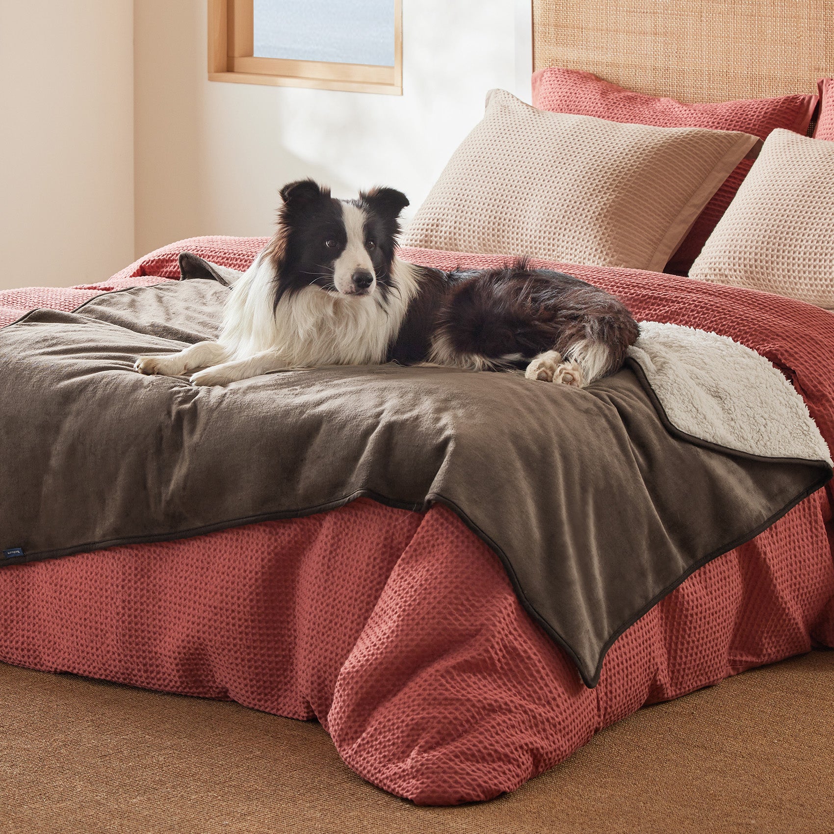 Reversible Sherpa and Microfiber Fleece Dog Blanket - Image 26
