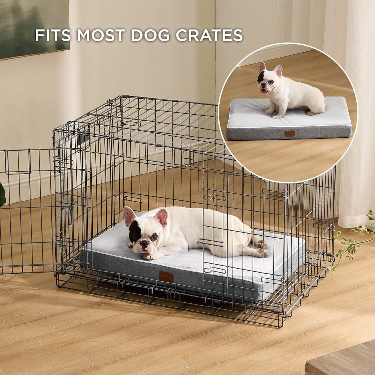 Orthopedic Memory Foam Dog Bed - Image 5