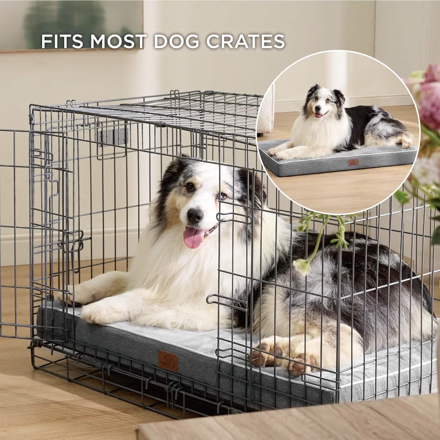 Orthopedic Memory Foam Dog Bed - Image 11