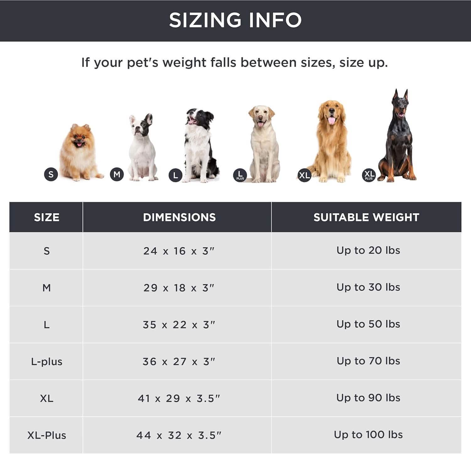 Orthopedic Memory Foam Dog Bed - Image 9