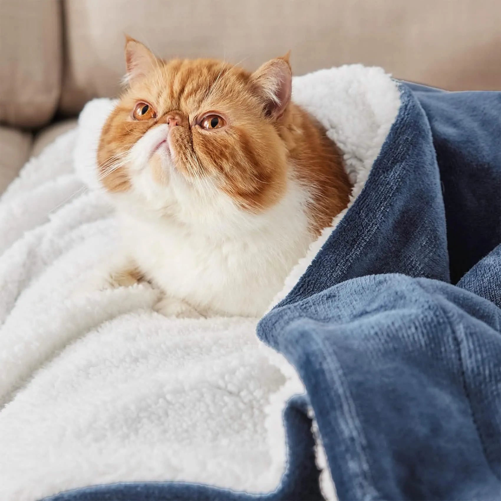 Sherpa Fleece Blanket - Image 11