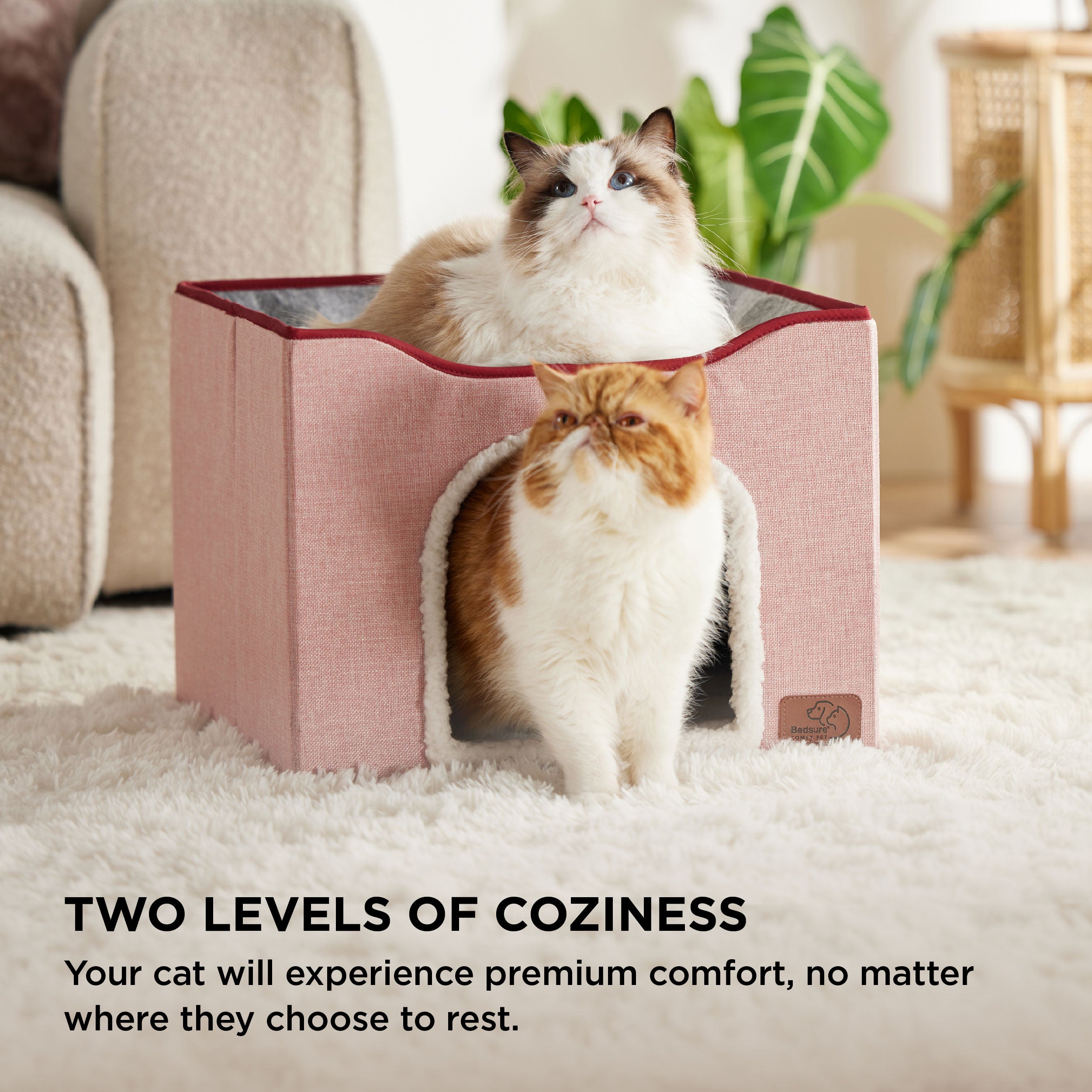Cat Beds for Indoor Pet Cat House - Image 12
