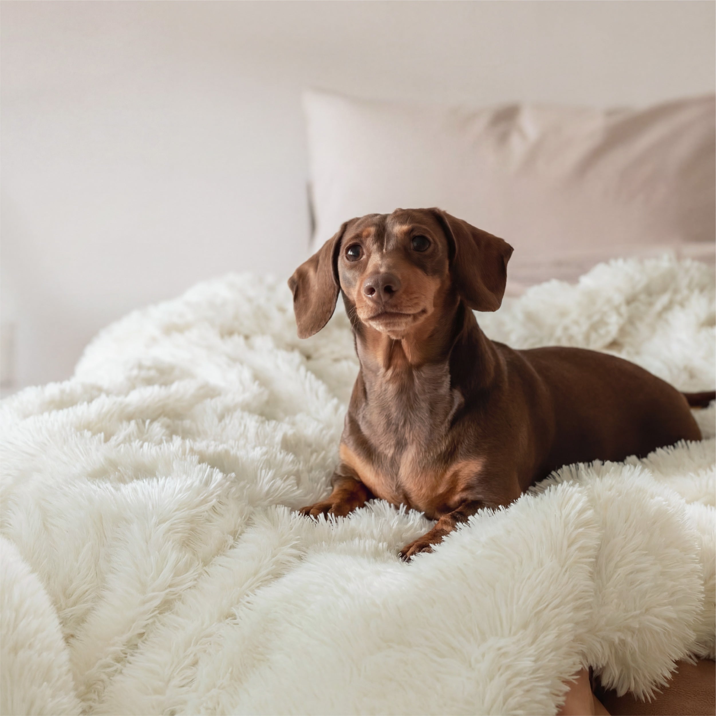 Luxe Faux Fur Blanket - Image 3